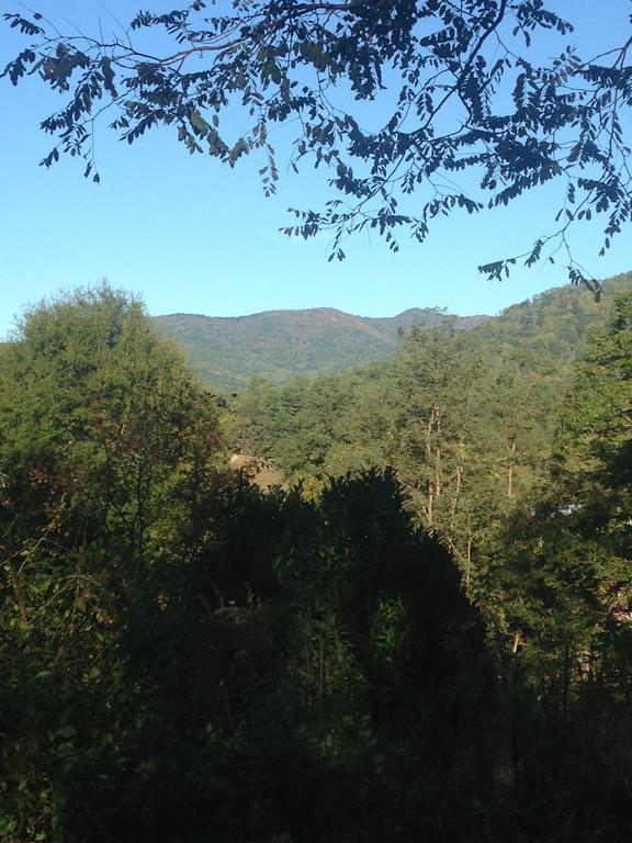Serenity Views Bungalow - Close To City And Parkway! Villa Weaverville Kültér fotó